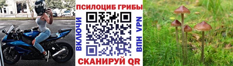 ссылка на мегу ссылки  Пятигорск  Галлюциногенные грибы прущие грибы 
